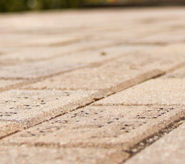 Close-up view of a sunlit brick pathway with a blurred garden in the background.